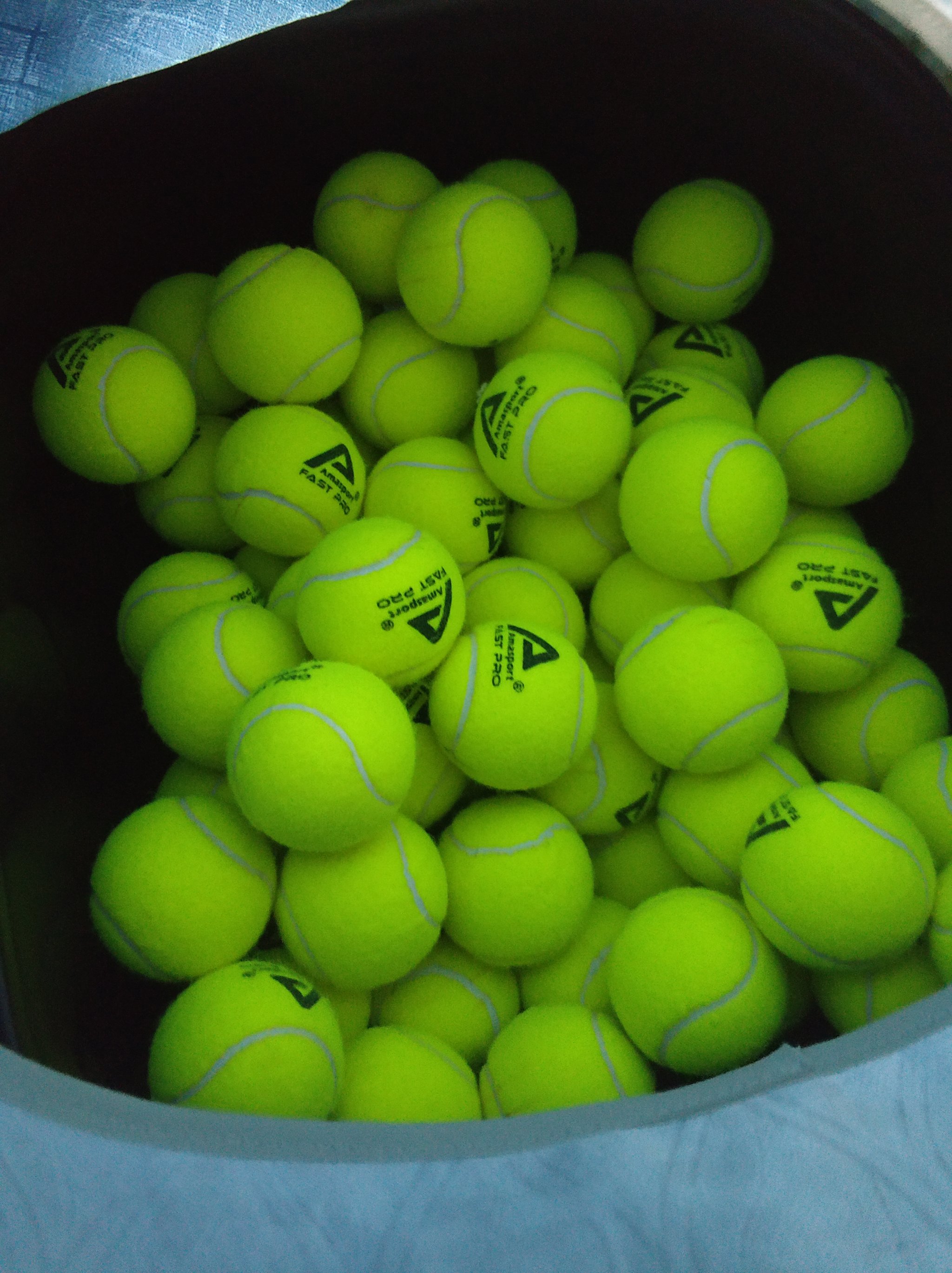 掘与培养 掘与培养