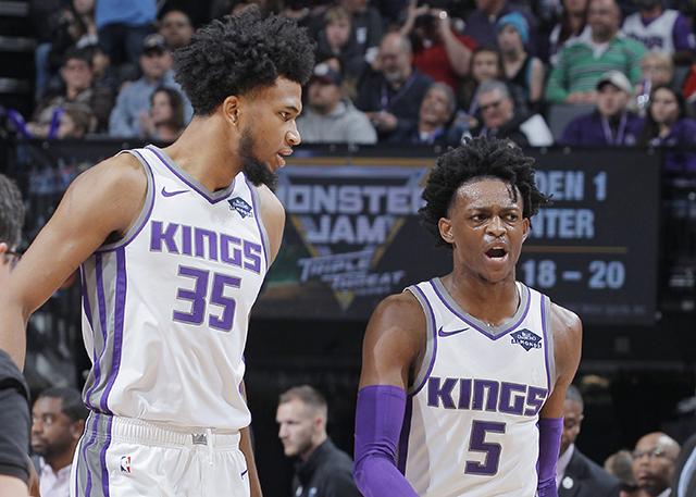 提供了新的 提供了新的